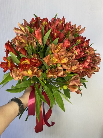 Альстромерии микс