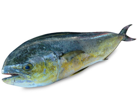 Махи-махи охлажденная~2кг