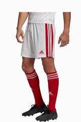 Шорты adidas Squadra 21