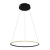 Люстра Arte Lamp Rapid A2500SP-1BK