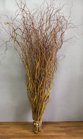 Салекс золотистый 120 см (упак 5 шт)