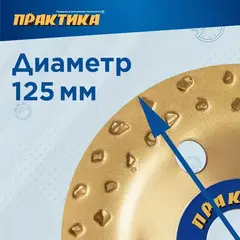 Чашка твёрдосплавная ПРАКТИКА 125 х 22 мм плоская, зерно # 8 крупное (795-354)