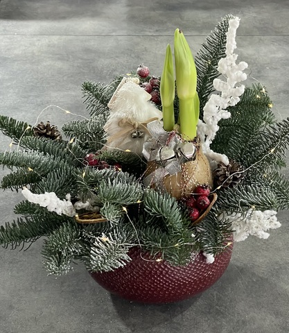 Композиция с амариллисом