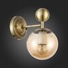 Светильник настенный Evoluce Pechio SLE106301-01