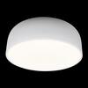Потолочный светильник Loft It Axel 10201/480 White