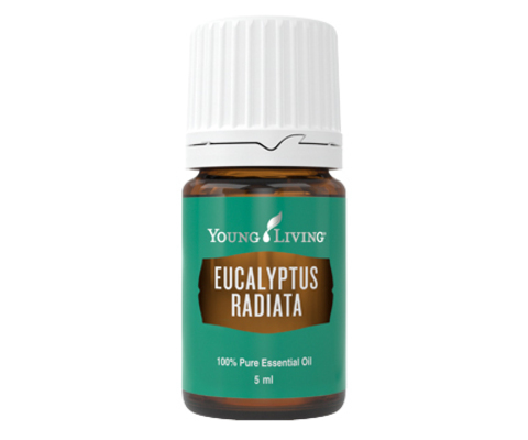 Эвкалипт Лучистый (Eucalyptus Radiata) – 5 ml