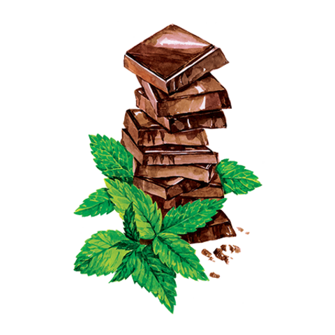 Proffsyrup шоколадное печенье