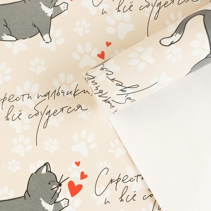 Упаковочная бумага глянцевая, «Котики», 0,7*1 м, 5 листов