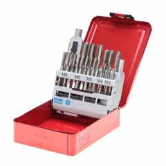 Набор метчиков комплектных M3 -M12 HSS-G DIN352 (+ вороток) 22пр Ruko 245002(K)