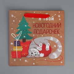 Пакет подарочный S квадрат, «Подарочек», 22*22*11 см (Д*В*Ш), 1 шт.