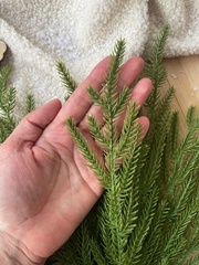 Еловая ветка, мягкая, норфолкская сосна, ампельное растение, искусственная зелень, рождественский декор 45 см, набор 2 шт.