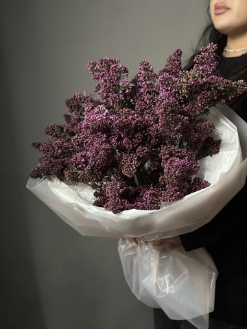 «Букет сирени»