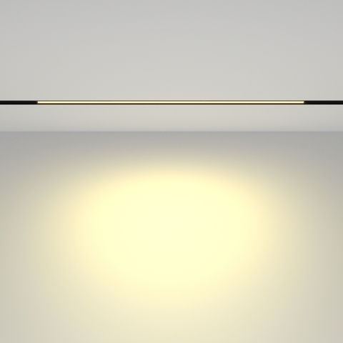 Магнитный трековый светильник Maytoni Basis TR030-2-24W2.7K-B