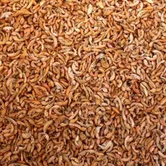 ВИТА-С гаммарус пакет 250 мл