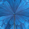 Зонт-трость Pasotti 189-21065-13 Blue Dahlia