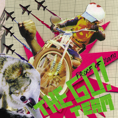 The Go! Team / Proof Of Youth (RU)(CD)