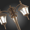 Светильник уличный ST Luce Domenico SL082.205.03
