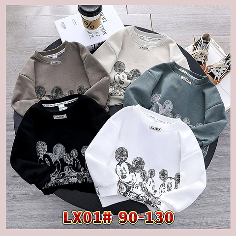 Толстовка мальчику (2-7) 241217-W4053
