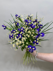 Букет цветов Ирисы с полевой ромашкой в ленте