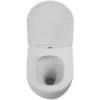 Унитаз подвесной безободковый со смывом TORNADO BelBagno AMANDA-TOR BB051CH-TOR-FC