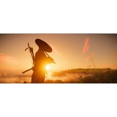 Ghost of Tsushima/Призрак Цусимы Director's Cut PS4