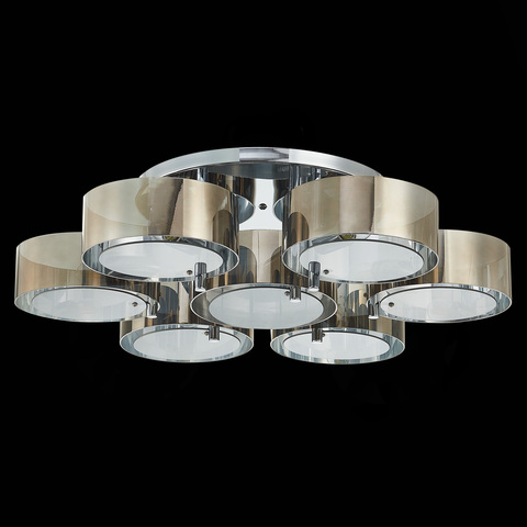 Светильник потолочный Evoluce Foresta SL483.702.07