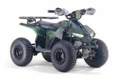 Детский электрический квадроцикл RiverToys LEON 1200W