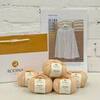 MESH Skirt Fashionbox