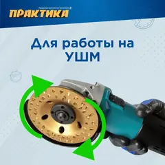 Чашка твёрдосплавная ПРАКТИКА 125 х 22 мм плоская, зерно # 8 крупное (795-354)