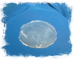 Плацента, 5-7см, 1шт