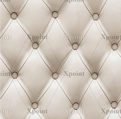 Микровелюр Xpoint / Икспоинт 0054.01 Каретная стяжка