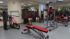 Поднятие колений / турник / брусья Aerofit IFPT