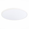 Светильник настенно-потолочный ST Luce ST601.532.48