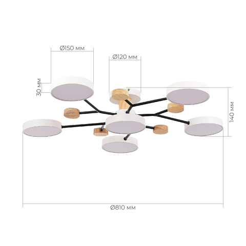 Светильник потолочный Evoluce Faema SLE6006-502-06