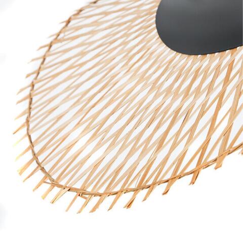 Подвесной светильник Arte Lamp WOODSTOCK A7063SP-1BK