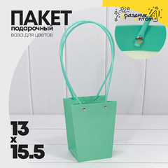 
          Пакет подарочный 15.5х13х9.5см Ваза для цветов (Тиффани)