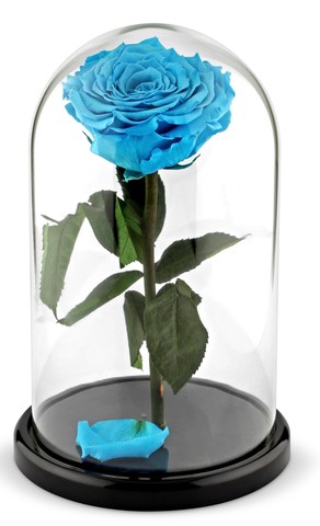 Вечная роза в стеклянной колбе голубая (Люкс)