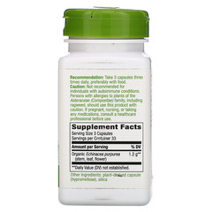 Nature's Way, Echinacea Purpurea Herb, 1,200 mg, 100 Vegan Capsules