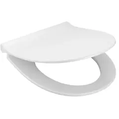 Roca 801392002 Victoria лакированная крышка soft close для унитаза тонкое, быстрое снятие, стальные петли фото