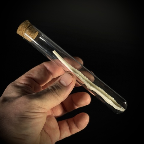 Волчий бакулюм в стеклянной колбе