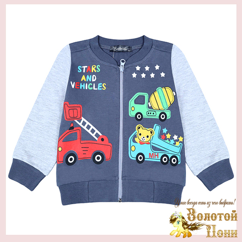 Толстовка хлопок м (2-5) 240823-BK1376BM.1