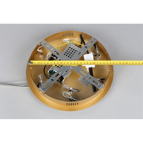 Подвесная светодиодная люстра Aployt Janina APL.018.13.60