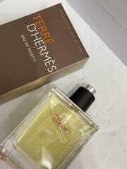 Terre d`Hermes, 100 ml (для мужчин)