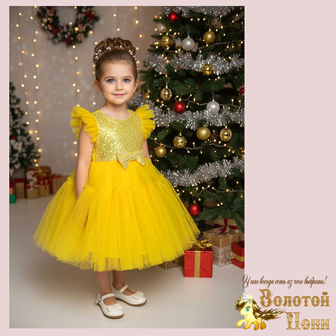 Платье нарядное на корсете (3-6) 251204-W2121