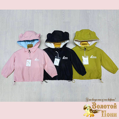 Ветровка детская (1-5) 250313-L5061