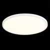 Светильник настенно-потолочный ST Luce ST601.532.48