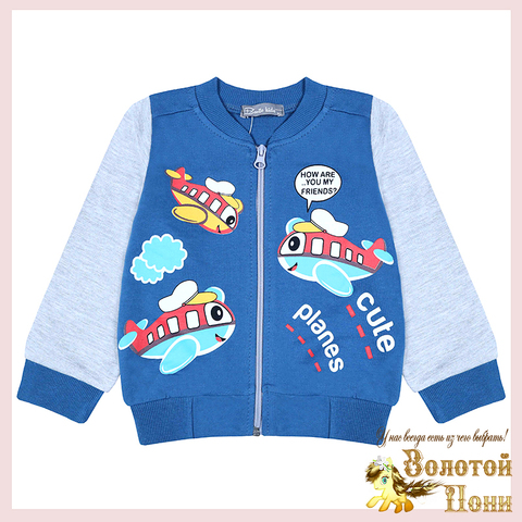 Толстовка хлопок м (2-5) 240823-BK1376BM.2