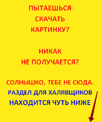 Сахарная картинка 100 долларов нового образца-3