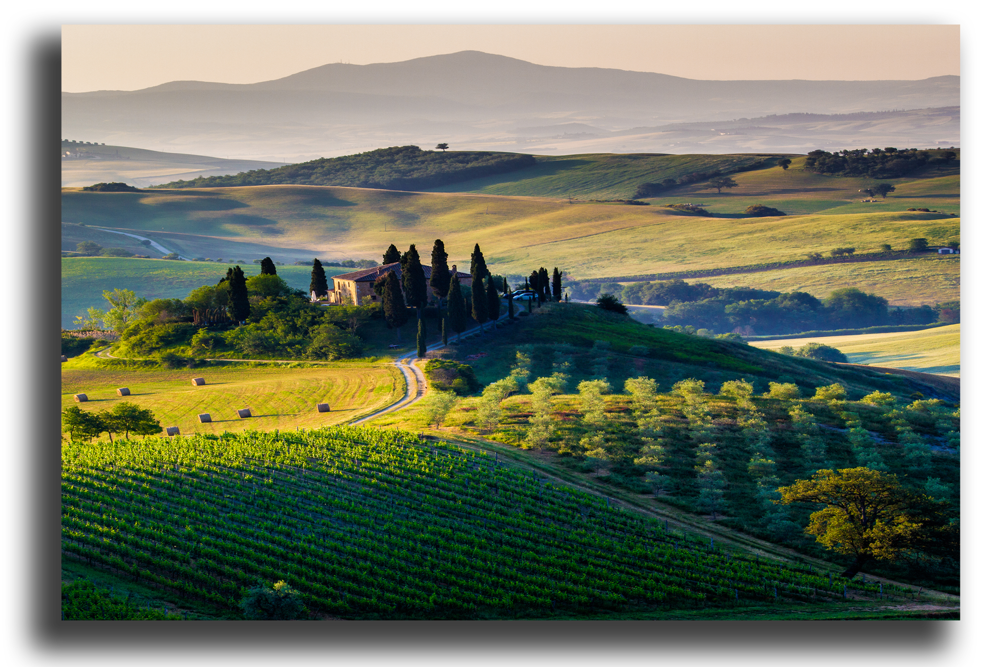 En un rincón de la toscana reparto