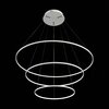 Светильник подвесной ST Luce Erto SL904.503.03